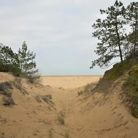 Cozy Near The With Parking Space Included Apartment Lignano Sabbiadoro